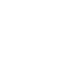 Increase Online Visibility